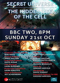 Постер Внутренняя Вселенная: Тайная жизнь клетки