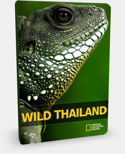 Постер National Geographic: Дикая природа Таиланда / Wild Thailand