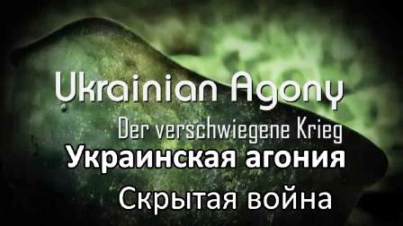 Постер Украинская агония.Скрытая война